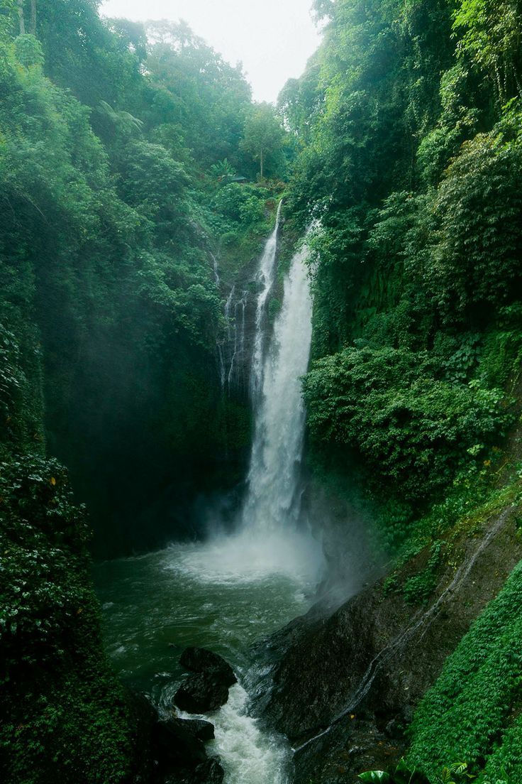 a large waterfall in the middle of a forest filled with lush green plants and trees