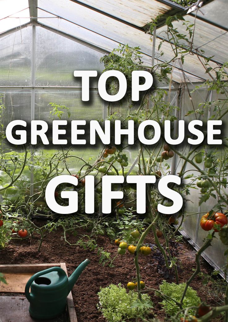 the words top greenhouse gifts are in front of an image of tomatoes and other plants