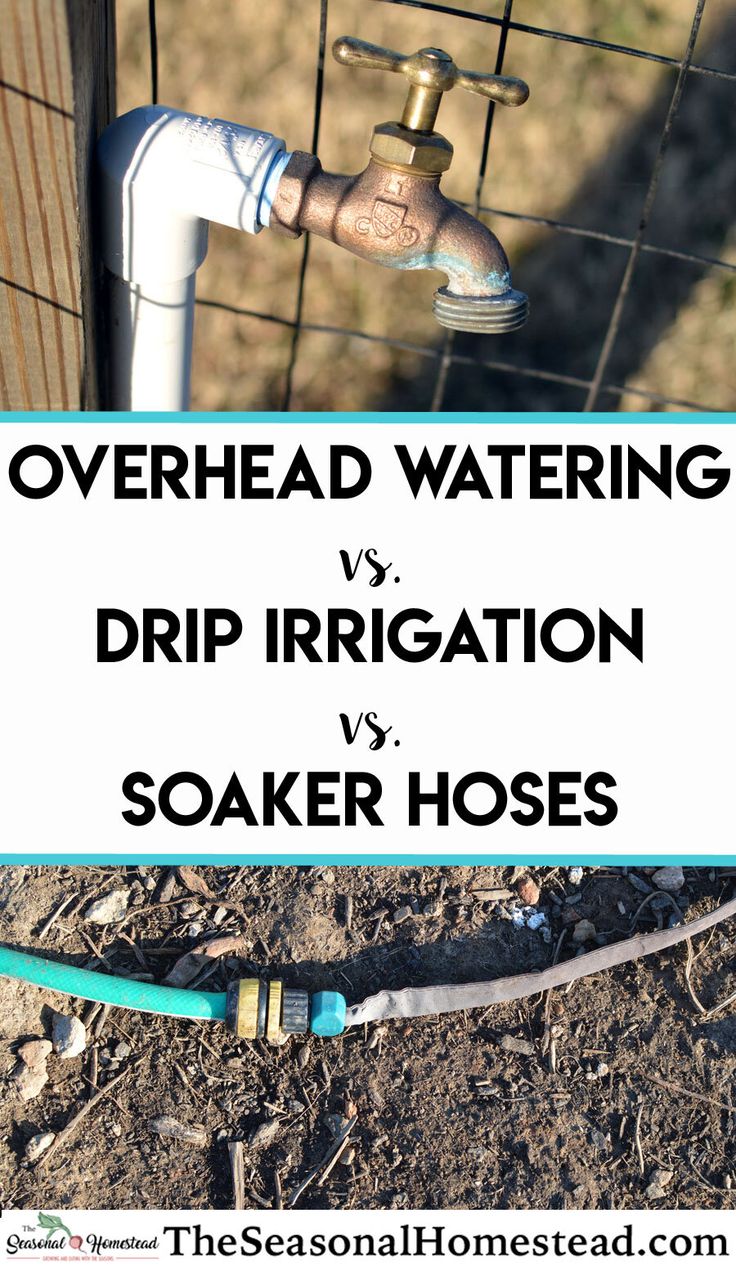 overhead watering and drip irrigation vs soaker hoses