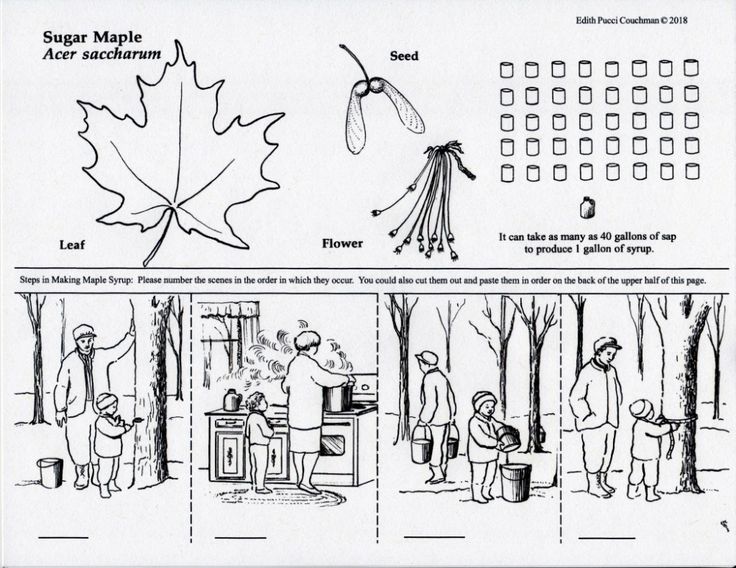 an image of a leaf and people in the woods with instructions on how to use it