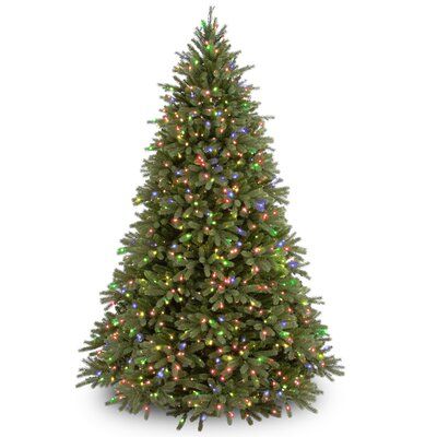 a christmas tree with multi - colored lights on it's base and white background