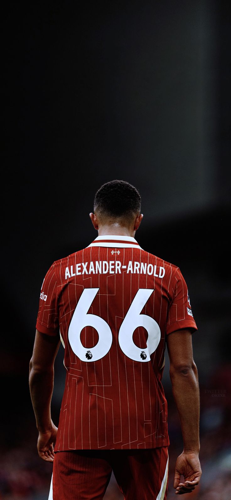 a man in a red jersey standing on a soccer field with his back turned to the camera