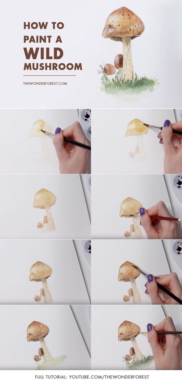 how to paint a wild mushroom with watercolors and acrylic paints - step by step instructions