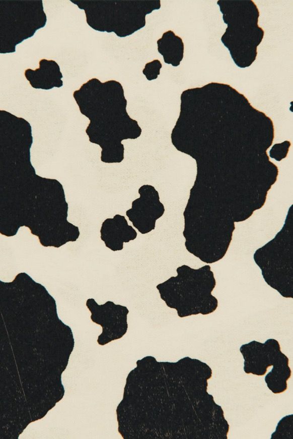 black and white cow print with spots on it