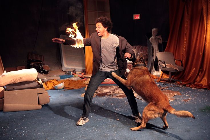 a man is playing with his dog on stage