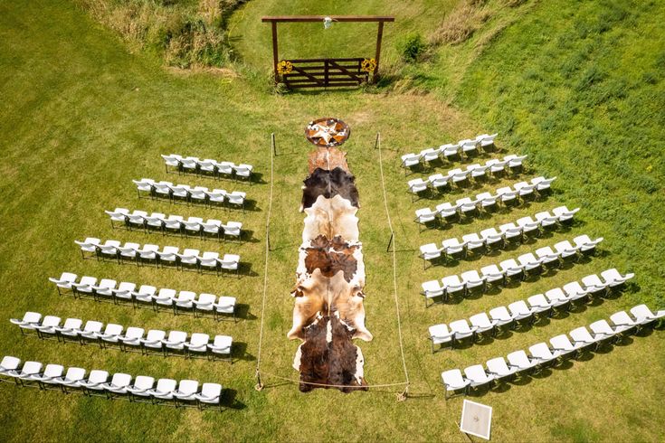 an aerial view of a wedding ceremony setup with cows and chairs in the grass, from above