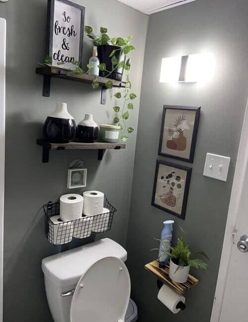 a white toilet sitting in a bathroom next to a shelf filled with potted plants