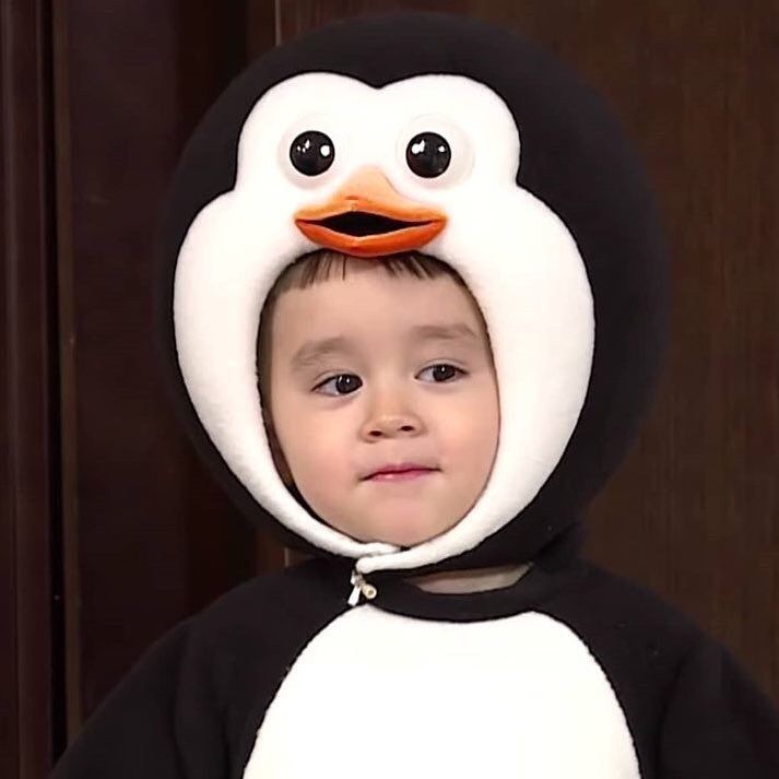 a little boy wearing a penguin costume