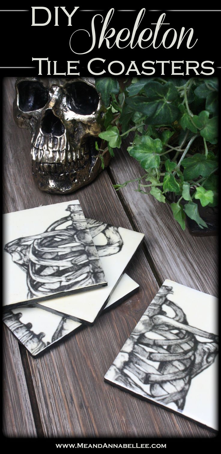 three skeleton coasters sitting on top of a wooden table next to a potted plant