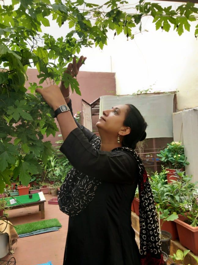 a woman reaching up for leaves on a tree