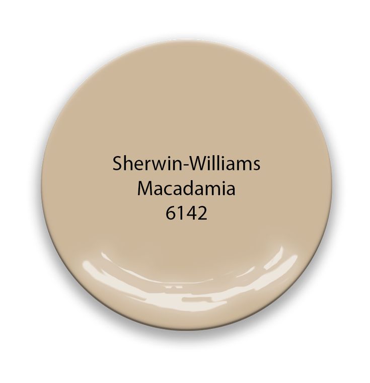 sherylin - williams's macadamia paint is shown in light beige