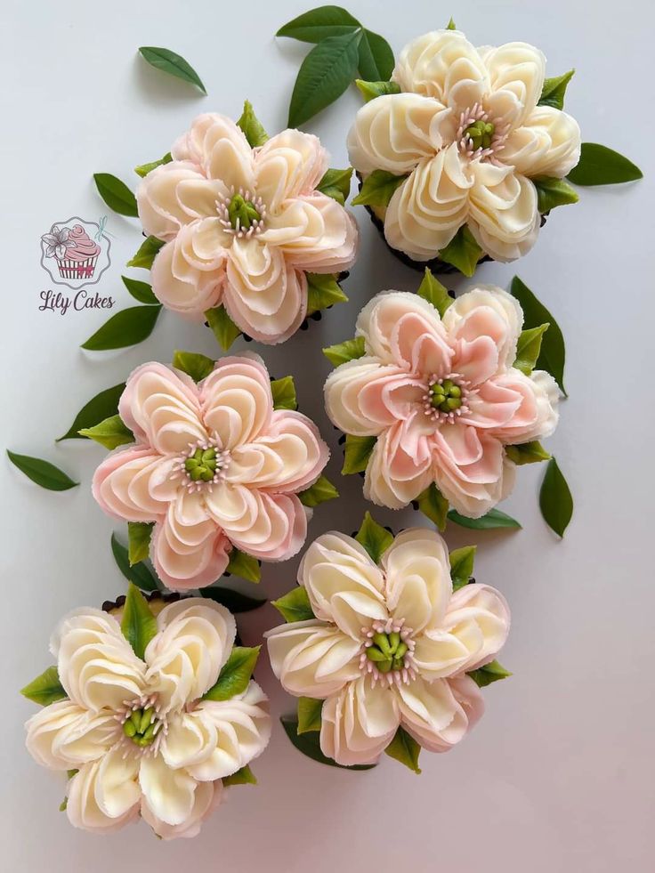 some pink and white flowers with green leaves