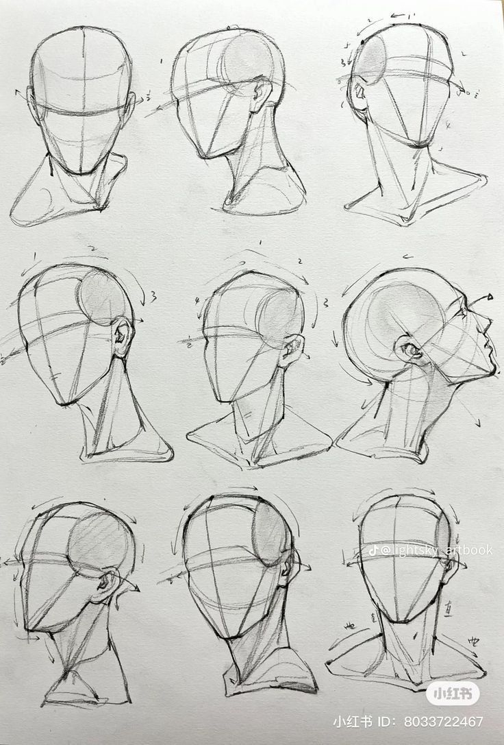 sketches of the head and neck of an egyptian woman with various angles to each side