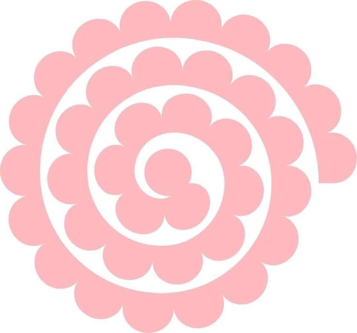 a pink flower with an open center in the middle is shown on a white background