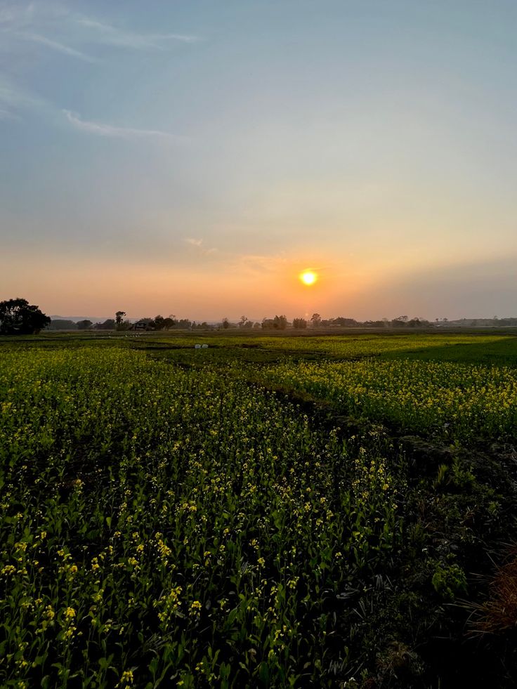 the sun is setting over a green field