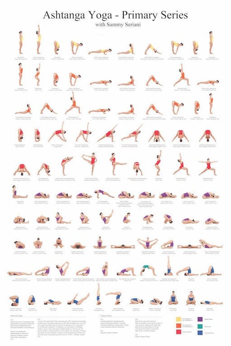 an illustrated poster showing the yoga poses for beginners to do in different positions, including