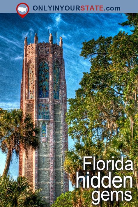 the florida hidden gems book cover with palm trees and blue sky in the back ground