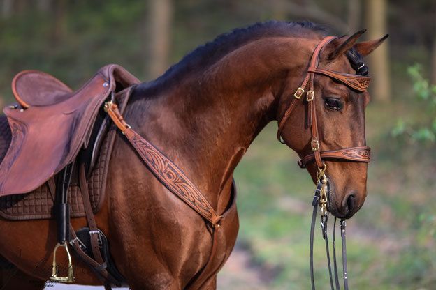 a brown horse with a saddle on its back