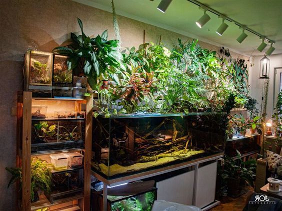 a room filled with lots of different types of plants