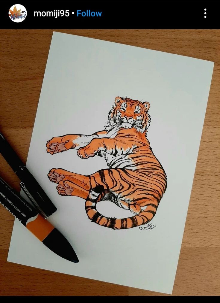 a drawing of a tiger sitting on top of a table