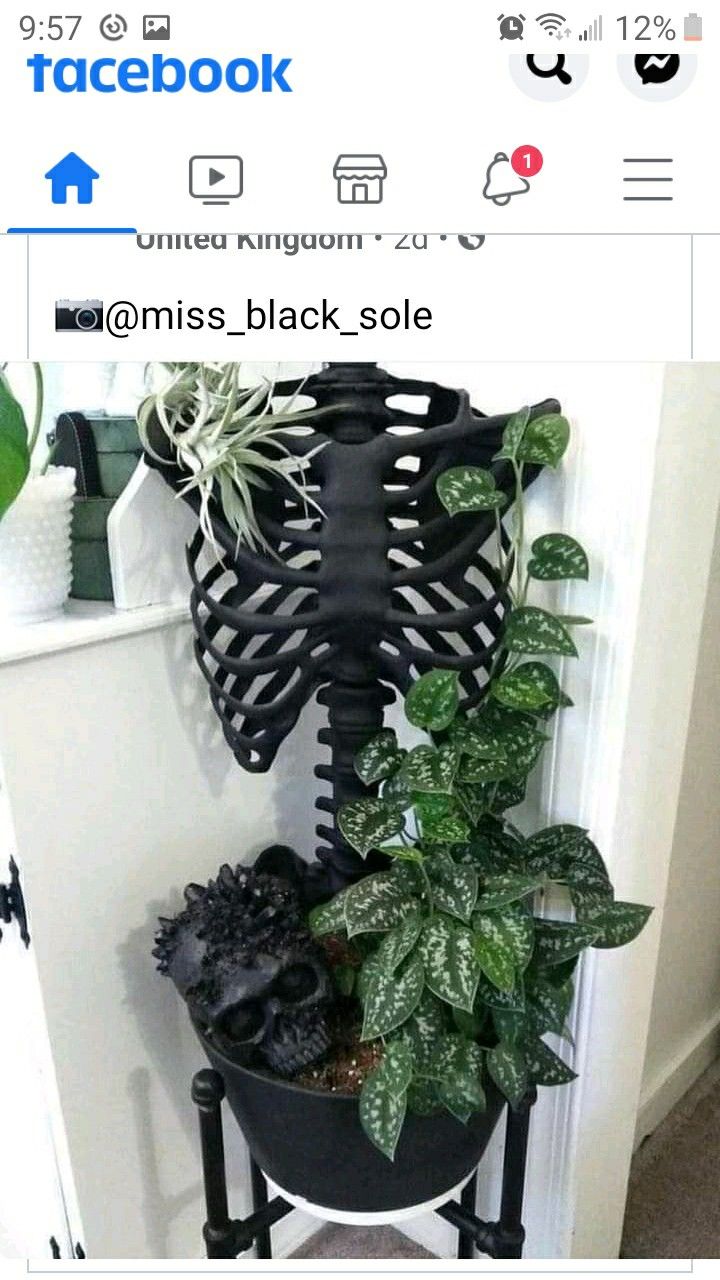 a skeleton planter with plants in it