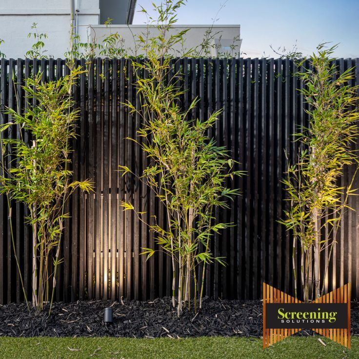 a tall bamboo tree in front of a black fence