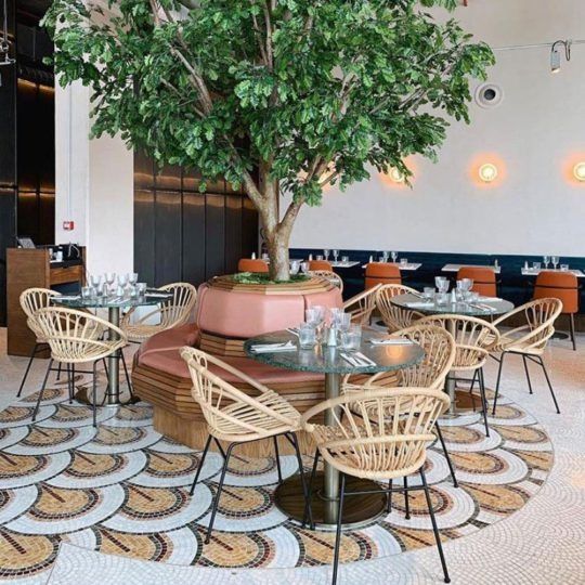 an indoor dining area with tables, chairs and a tree