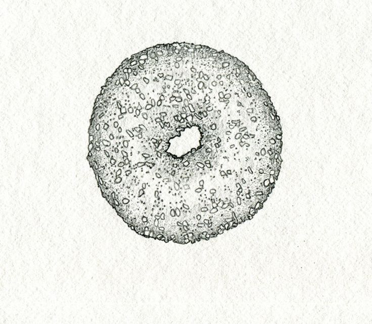 a drawing of a donut with sprinkles on it's surface