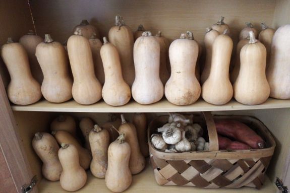 squash and gourds are displayed on shelves in a kitchen cupboard with baskets full of them