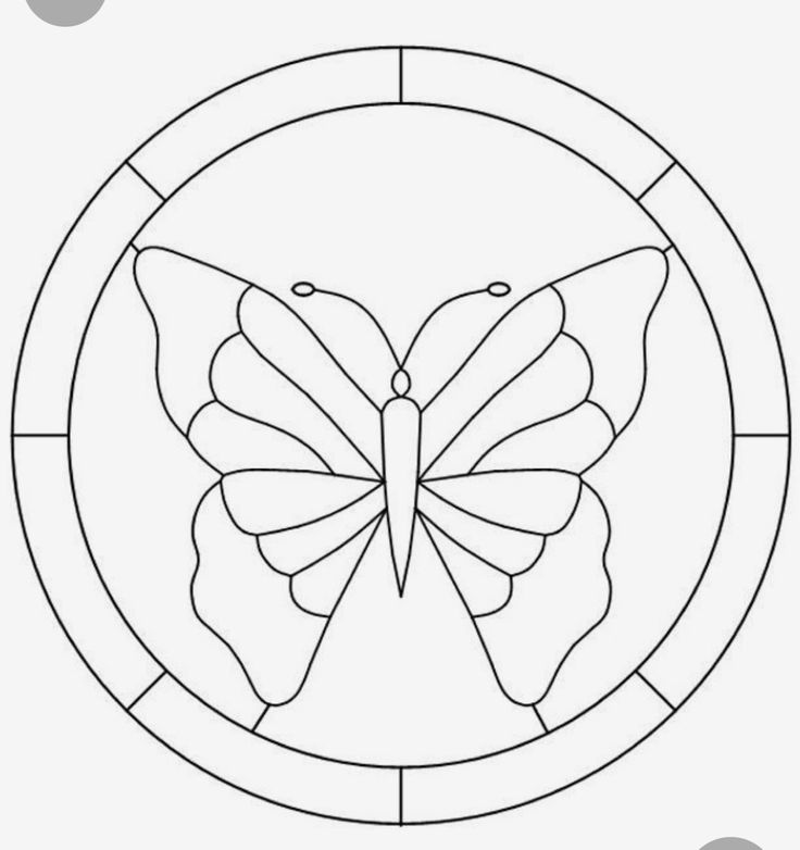 a drawing of a butterfly in a circle