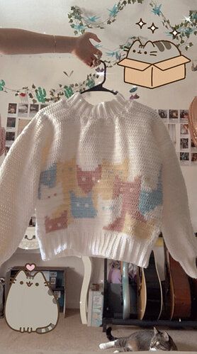 a cat sweater hanging from a hook in a room with pictures on the wall behind it