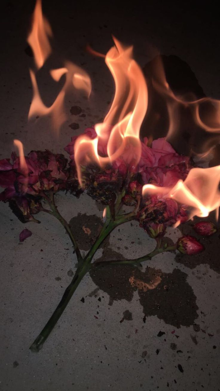 a flower that is sitting on the ground with fire coming out of it's petals