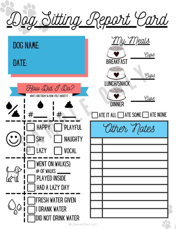 a printable dog sitting report card with the words, dogs name and other items