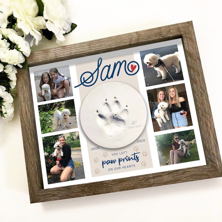 a photo frame with pictures of people and their dog's handprints on it