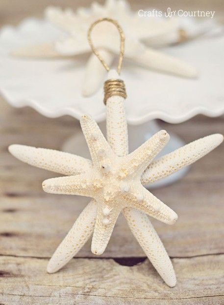 a white starfish ornament sitting on top of a table next to a plate