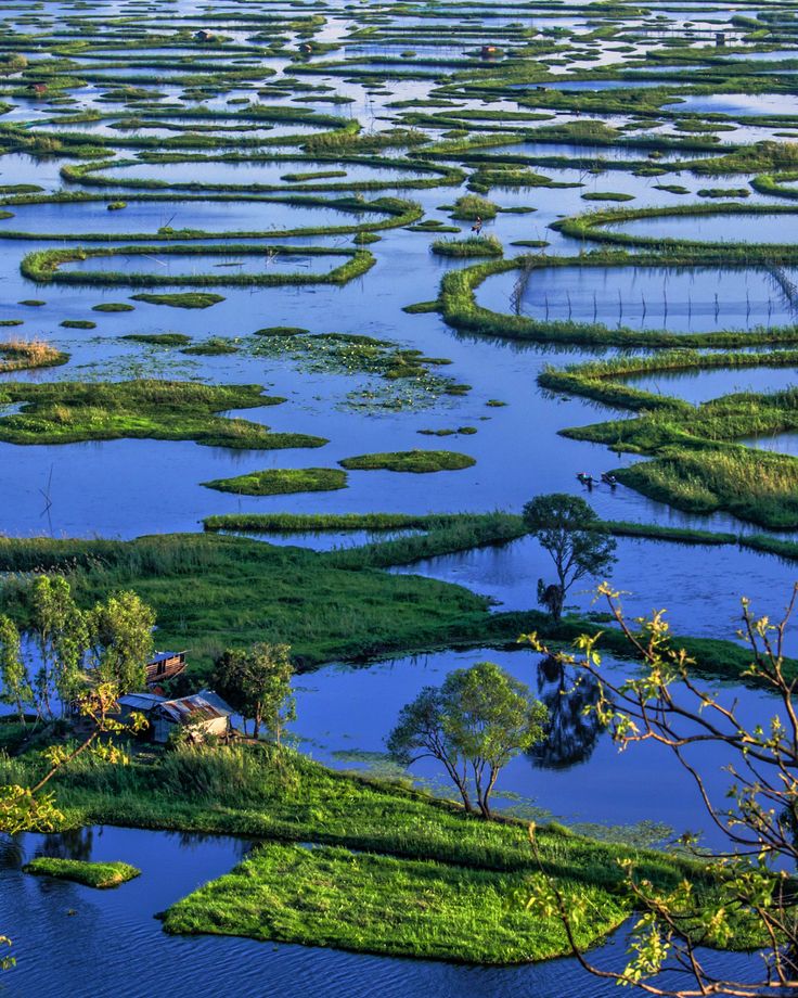 an aerial view of the water and land covered in green plants, surrounded by trees