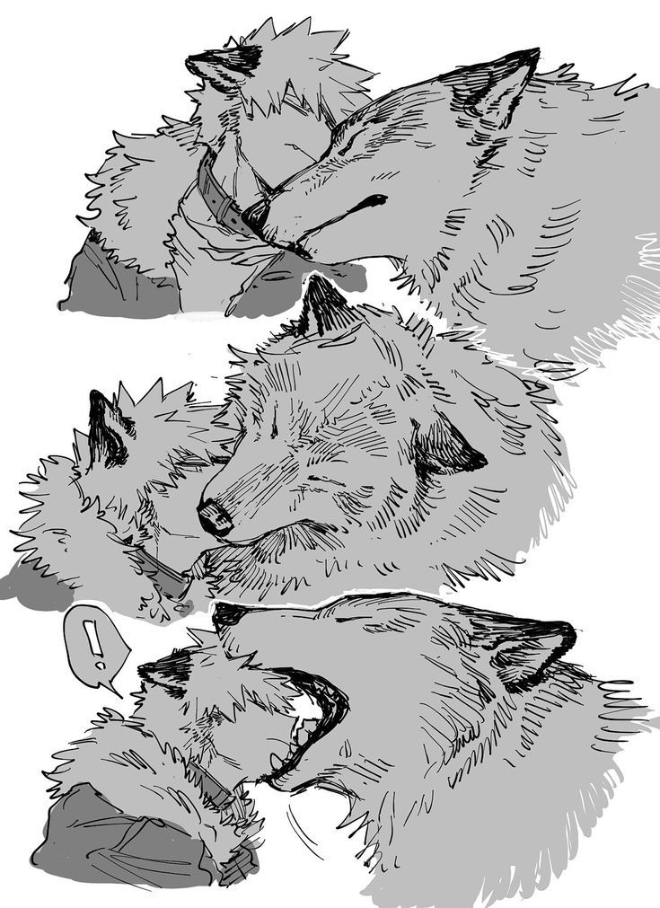 three wolfs with their mouths open, one is biting the other's teeth