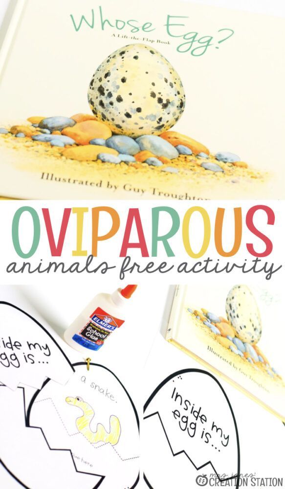 an egg is sitting on top of a book with the title, oviparous animal - free activity