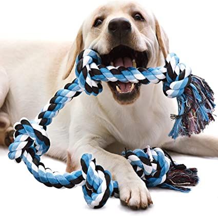 a dog is chewing on a rope toy