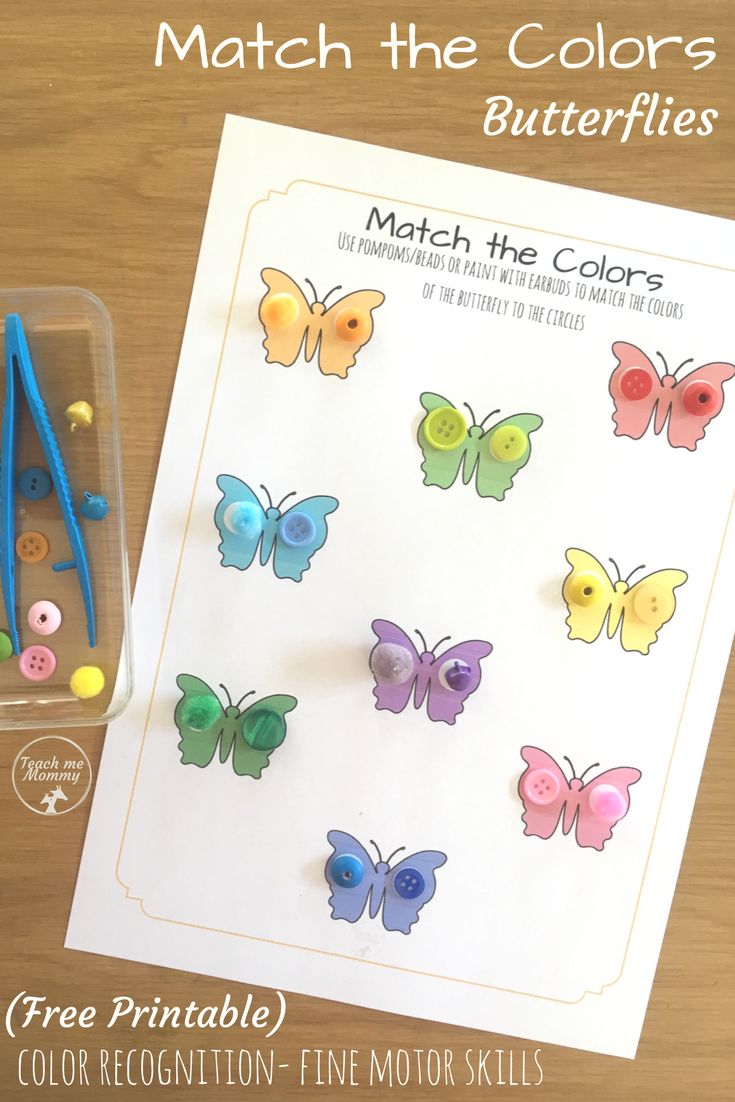 a printable butterfly match the colors for kids to use in their math and reading activities