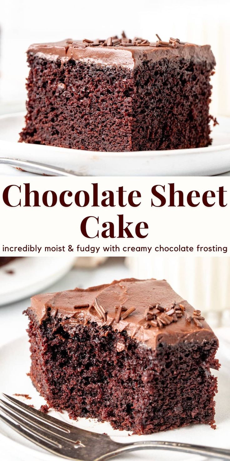 a chocolate sheet cake on a plate with a fork in front of it and the title overlay reads, chocolate sheet cake incredibly moist & fuddyy creamy chocolate frosting