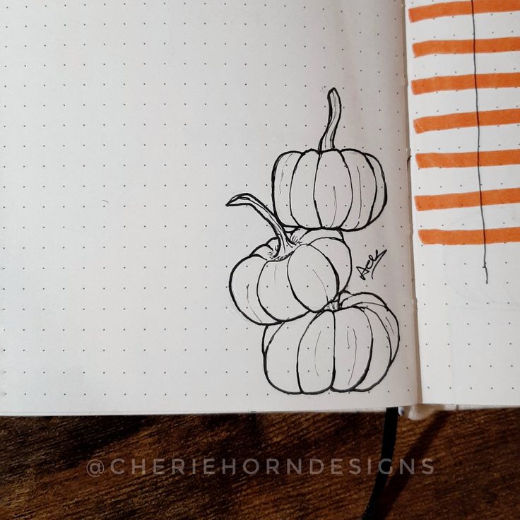 an open notebook with pumpkins drawn on the pages and orange stripes in the background