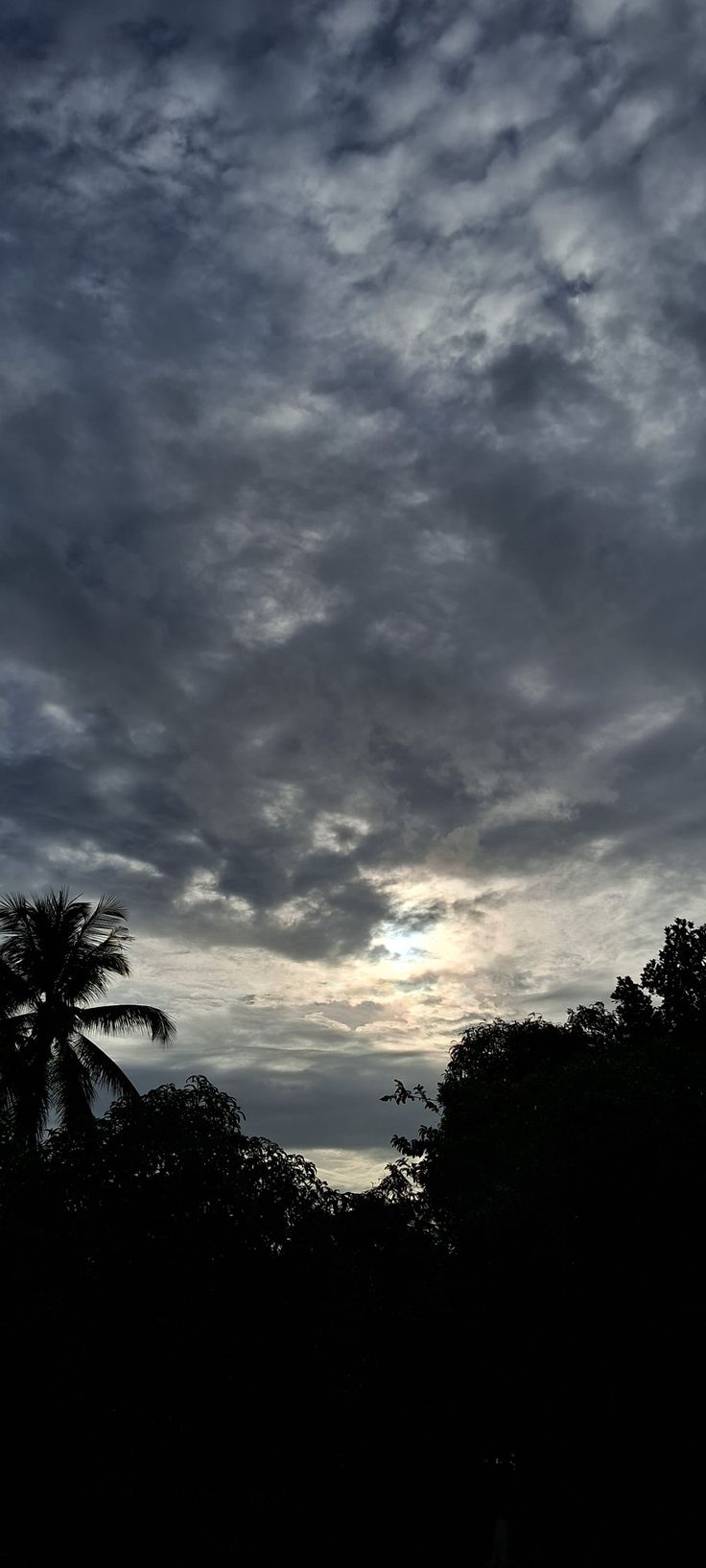 the sky is very dark and cloudy with some clouds in it, as well as palm trees