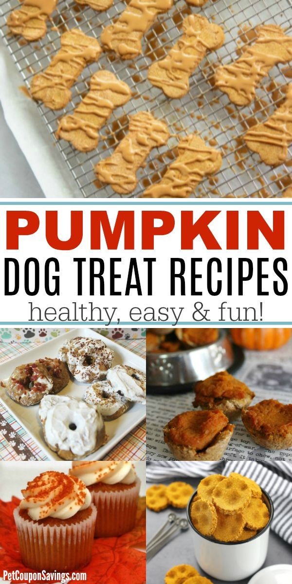 pumpkin dog treat recipe with text overlay