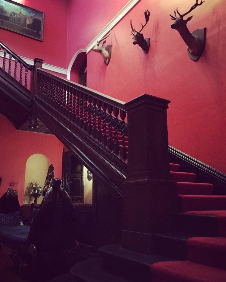 there is a red wall with deer heads on it and some stairs in the background