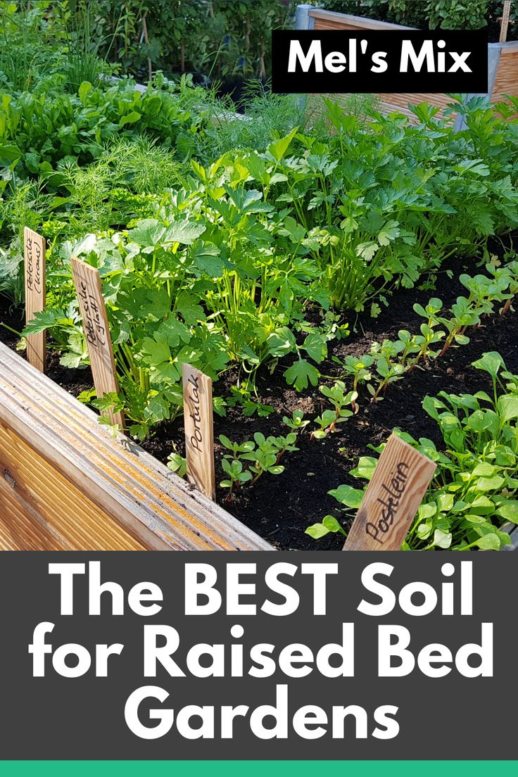 the best soil for raised bed gardens with text overlay that reads mel's mix