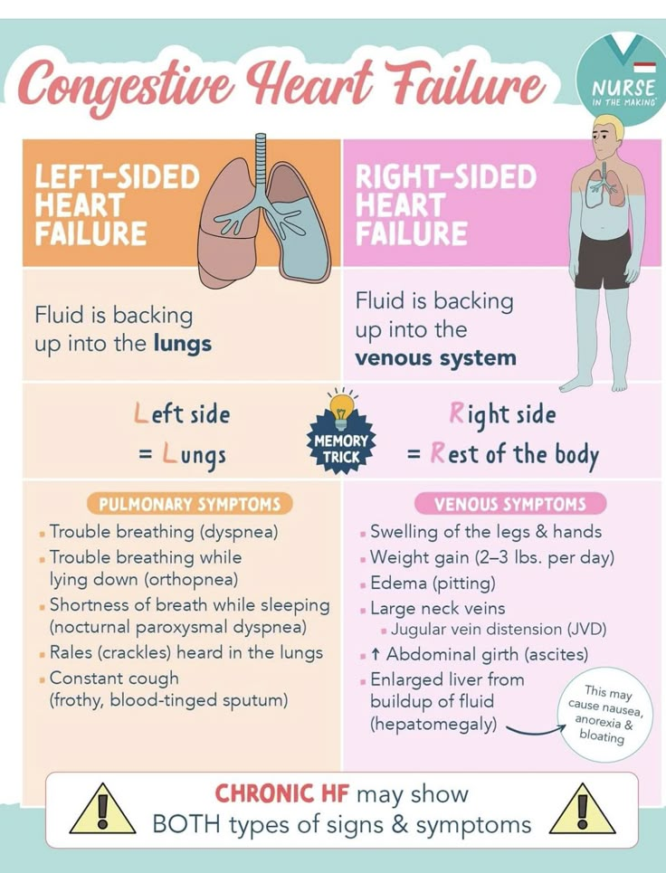 Med Surg Nursing Cardiovascular, Cardiogenic Shock Nursing, Cardiac Pathophysiology, Paramedic Pathophysiology, Cardiac Catherization Nursing, Nurse In The Making, Geriatric Nursing, Cardiogenic Shock Pathophysiology, Respiratory Therapy Student