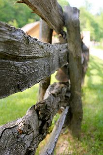 an old wooden fence with some mushrooms growing on it's side and grass in the background