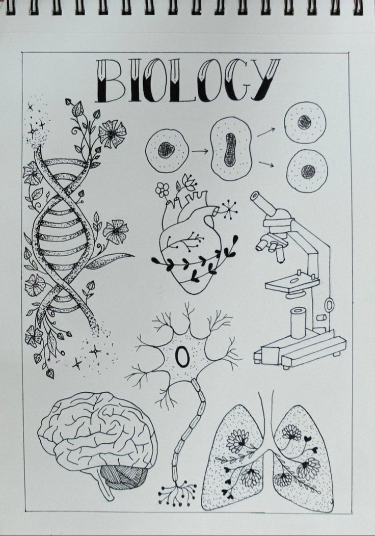 a book with drawings on it that says biology