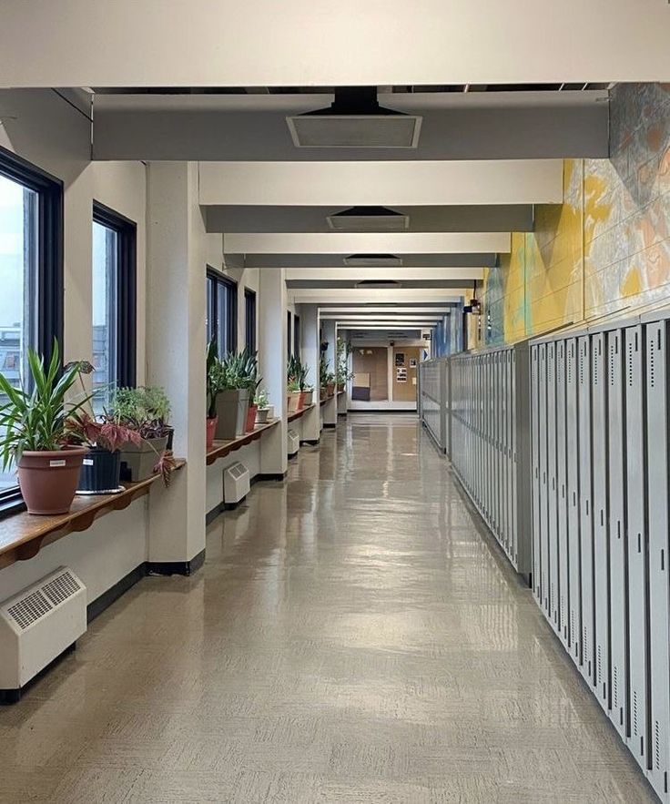 a long hallway with lockers and plants on the wall next to windows in an office building